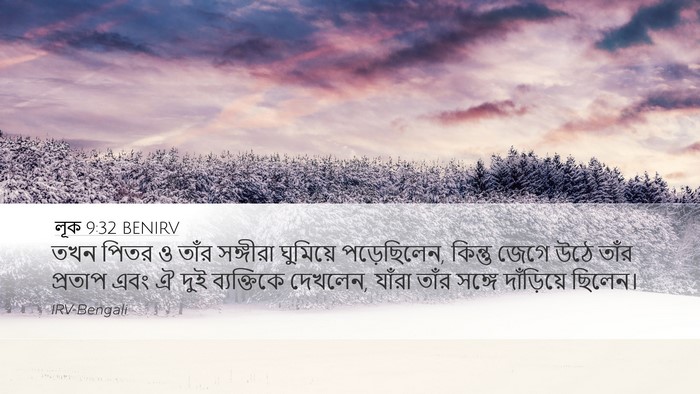 লূক 9:32 BENIRV Bible Verse Image