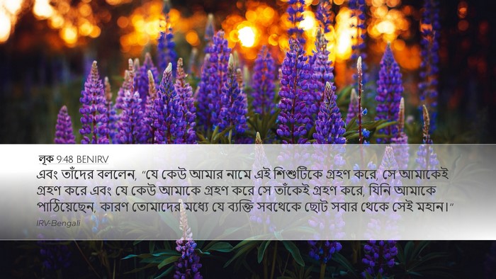 লূক 9:48 BENIRV Bible Verse Image