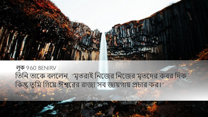 লূক 9:60 BENIRV Desktop Wallpaper - তিনি তাকে বললেন, - Desktop Bible Verse Wallpaper