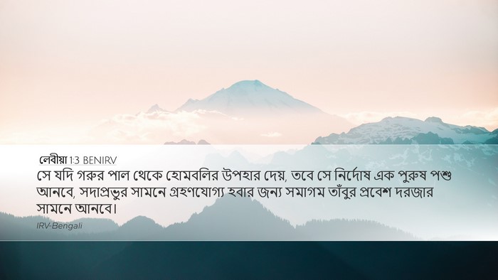 লেবীয়া 1:3 BENIRV Bible Verse Image