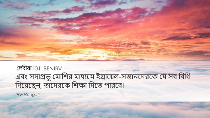 লেবীয়া 10:11 BENIRV Bible Verse Image