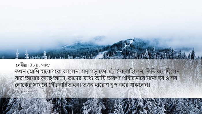 লেবীয়া 10:3 BENIRV Bible Verse Image