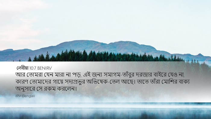 লেবীয়া 10:7 BENIRV Desktop Wallpaper - আর তোমরা যেন মারা - Desktop Bible Verse Wallpaper
