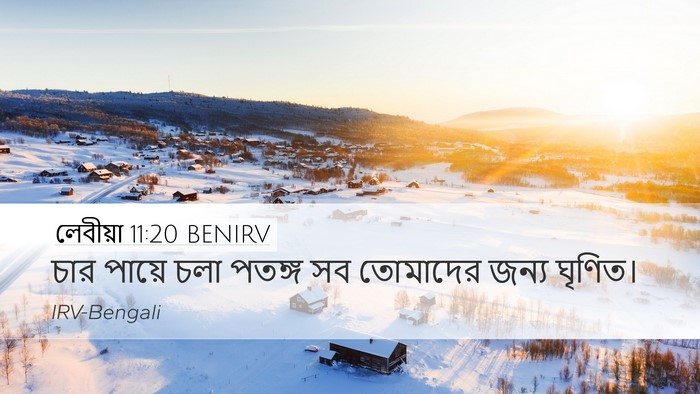 লেবীয়া 11:20 BENIRV Bible Verse Image