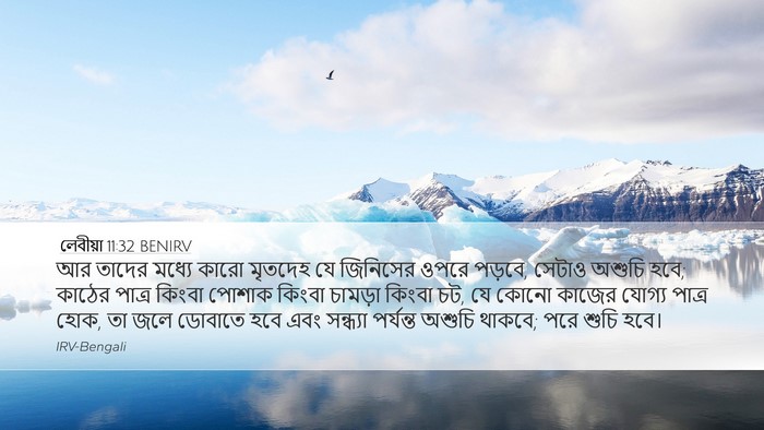 লেবীয়া 11:32 BENIRV Bible Verse Image