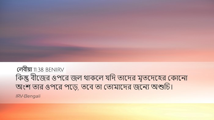 লেবীয়া 11:38 BENIRV Desktop Wallpaper - কিন্তু বীজের ওপরে - Desktop Bible Verse Wallpaper
