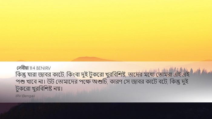 লেবীয়া 11:4 BENIRV Desktop Wallpaper - কিন্তু যারা জাবর - Desktop Bible Verse Wallpaper