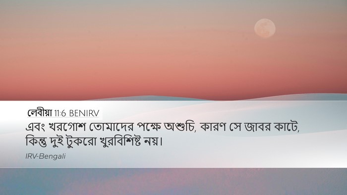 লেবীয়া 11:6 BENIRV Desktop Wallpaper - এবং খরগোশ তোমাদের - Desktop Bible Verse Wallpaper