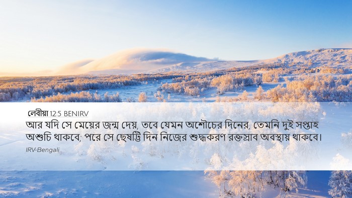 লেবীয়া 12:5 BENIRV Desktop Wallpaper - আর যদি সে মেয়ের - Desktop Bible Verse Wallpaper