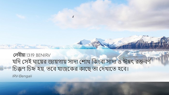 লেবীয়া 13:19 BENIRV Desktop Wallpaper - যদি সেই ঘায়ের - Desktop Bible Verse Wallpaper