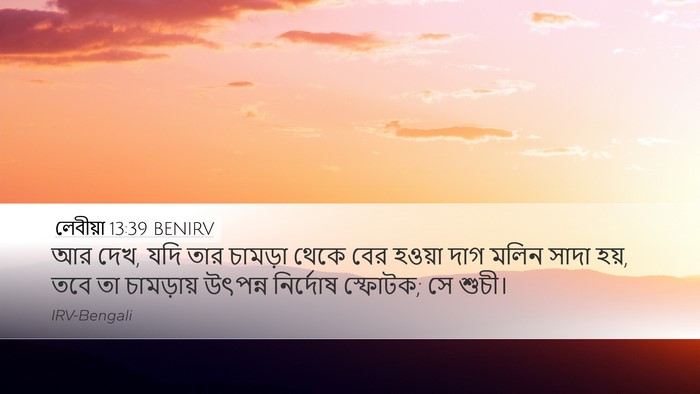 লেবীয়া 13:39 BENIRV Desktop Wallpaper - আর দেখ, যদি তার - Desktop Bible Verse Wallpaper