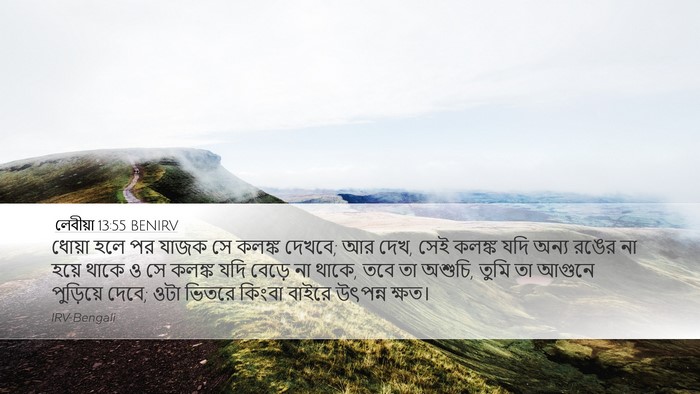 লেবীয়া 13:55 BENIRV Desktop Wallpaper - ধোয়া হলে পর যাজক - Desktop Bible Verse Wallpaper