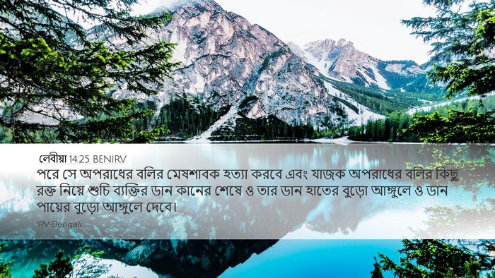 লেবীয়া 14:25 BENIRV Bible Verse Image