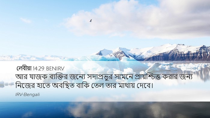 লেবীয়া 14:29 BENIRV Desktop Wallpaper - আর যাজক ব্যক্তির - Desktop Bible Verse Wallpaper