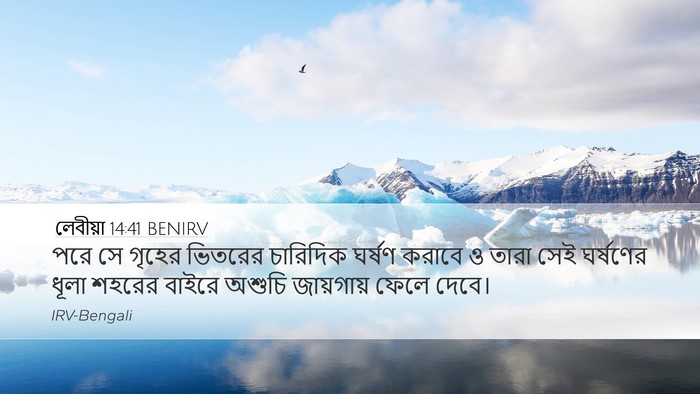 লেবীয়া 14:41 BENIRV Desktop Wallpaper - পরে সে গৃহের - Desktop Bible Verse Wallpaper