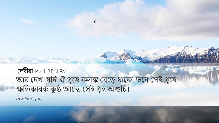 লেবীয়া 14:44 BENIRV Bible Verse Image