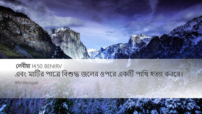 লেবীয়া 14:50 BENIRV Bible Verse Image