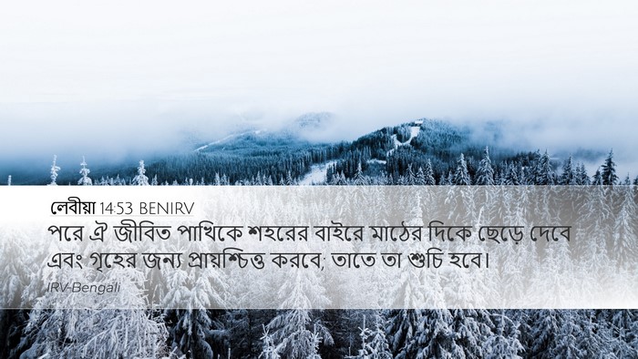 লেবীয়া 14:53 BENIRV Desktop Wallpaper - পরে ঐ জীবিত পাখিকে - Desktop Bible Verse Wallpaper
