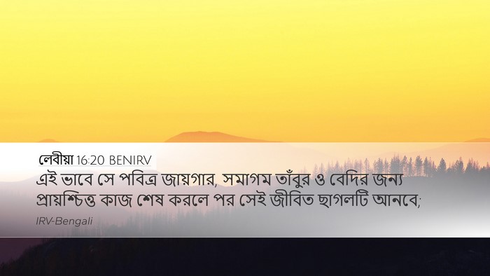 লেবীয়া 16:20 BENIRV Desktop Wallpaper - এই ভাবে সে পবিত্র - Desktop Bible Verse Wallpaper