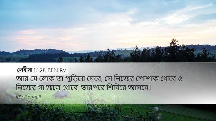 লেবীয়া 16:28 BENIRV Bible Verse Image