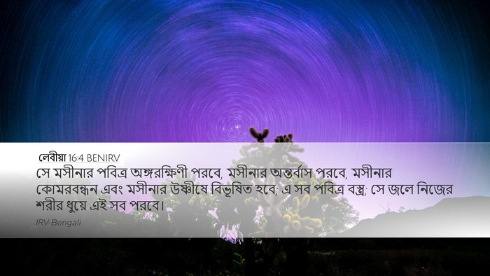 লেবীয়া 16:4 BENIRV Desktop Wallpaper - সে মসীনার পবিত্র - Desktop Bible Verse Wallpaper