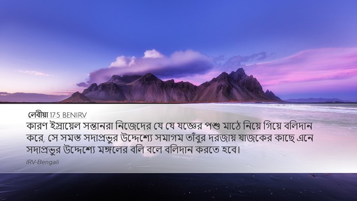 লেবীয়া 17:5 BENIRV Desktop Wallpaper - কারণ ইস্রায়েল - Desktop Bible Verse Wallpaper