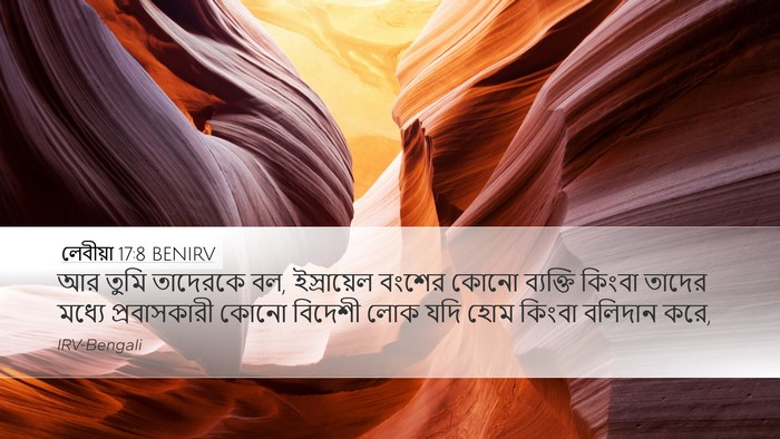 লেবীয়া 17:8 BENIRV Bible Verse Image