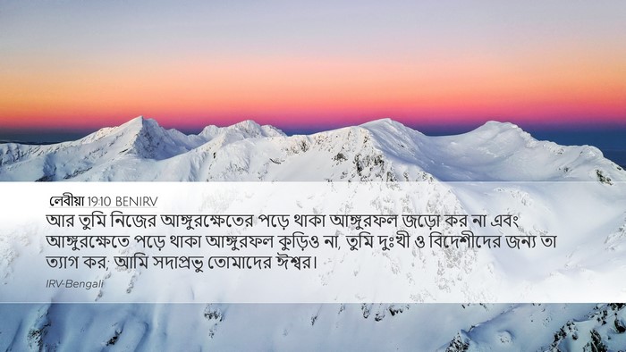 লেবীয়া 19:10 BENIRV Bible Verse Image