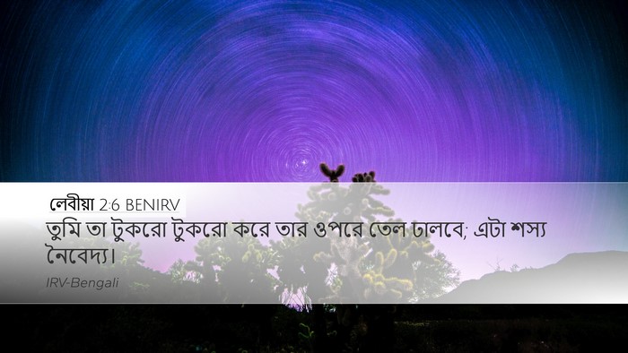 লেবীয়া 2:6 BENIRV Desktop Wallpaper - তুমি তা টুকরো - Desktop Bible Verse Wallpaper