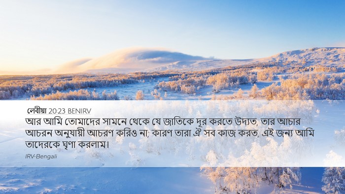 লেবীয়া 20:23 BENIRV Bible Verse Image