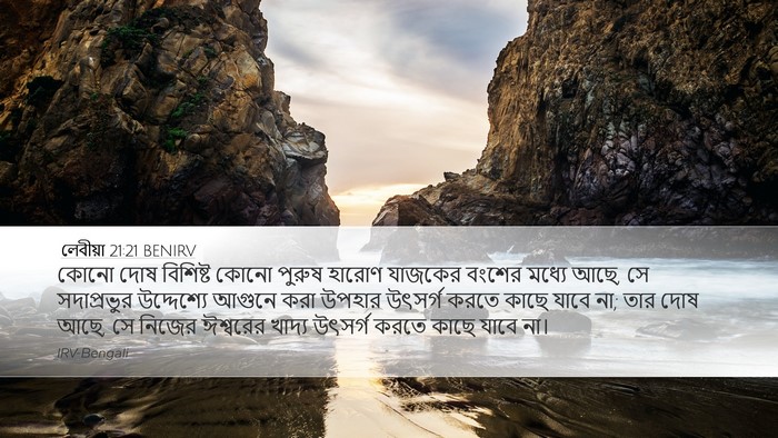লেবীয়া 21:21 BENIRV Bible Verse Image