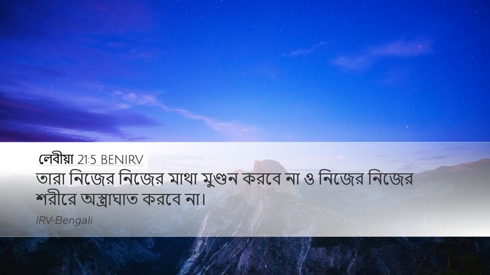 লেবীয়া 21:5 BENIRV Bible Verse Image
