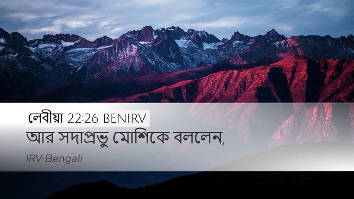 লেবীয়া 22:26 BENIRV Desktop Wallpaper - আর সদাপ্রভু - Desktop Bible Verse Wallpaper