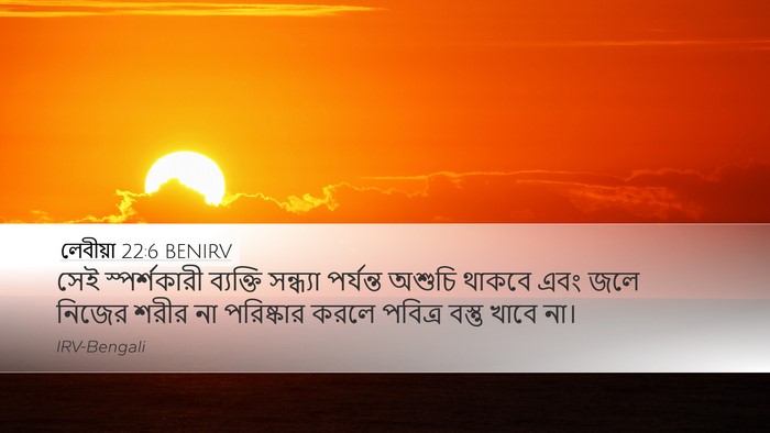 লেবীয়া 22:6 BENIRV Desktop Wallpaper - সেই স্পর্শকারী - Desktop Bible Verse Wallpaper