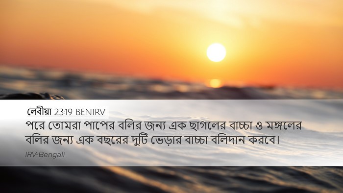 লেবীয়া 23:19 BENIRV Desktop Wallpaper - পরে তোমরা পাপের - Desktop Bible Verse Wallpaper