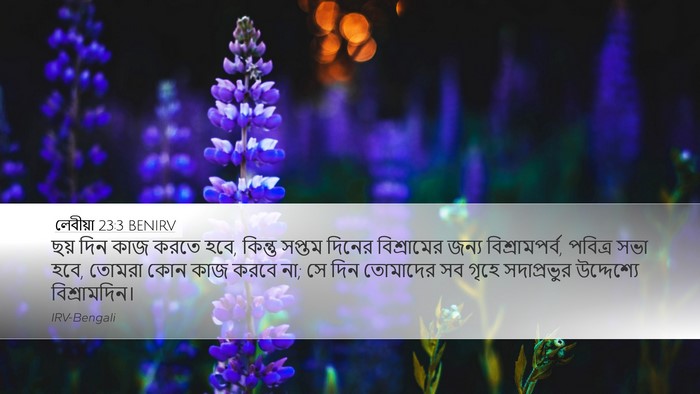 লেবীয়া 23:3 BENIRV Bible Verse Image