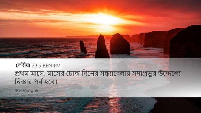 লেবীয়া 23:5 BENIRV Bible Verse Image
