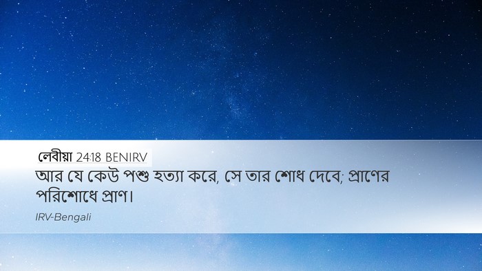লেবীয়া 24:18 BENIRV Desktop Wallpaper - আর যে কেউ পশু হত্যা - Desktop Bible Verse Wallpaper
