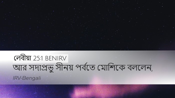লেবীয়া 25:1 BENIRV Desktop Wallpaper - আর সদাপ্রভু সীনয় - Desktop Bible Verse Wallpaper