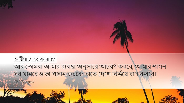 লেবীয়া 25:18 BENIRV Bible Verse Image