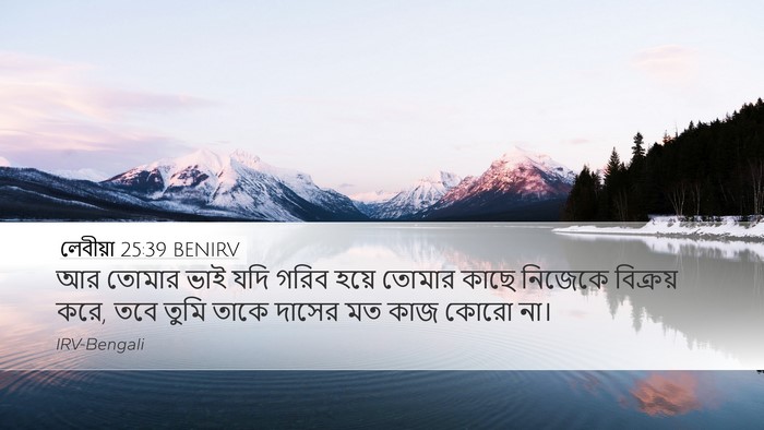 লেবীয়া 25:39 BENIRV Bible Verse Image