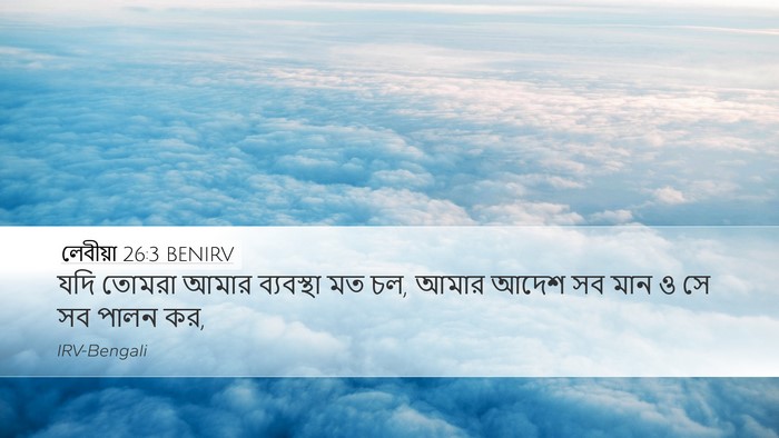 লেবীয়া 26:3 BENIRV Bible Verse Image
