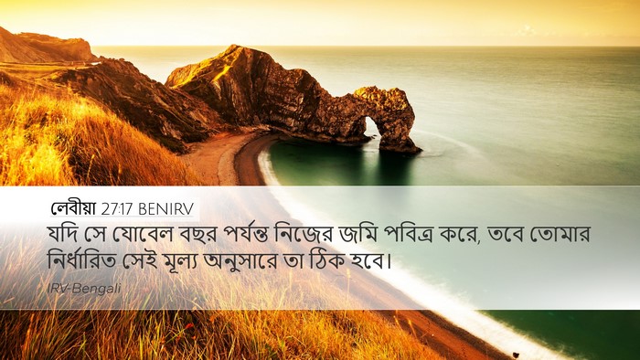 লেবীয়া 27:17 BENIRV Desktop Wallpaper - যদি সে যোবেল বছর - Desktop Bible Verse Wallpaper