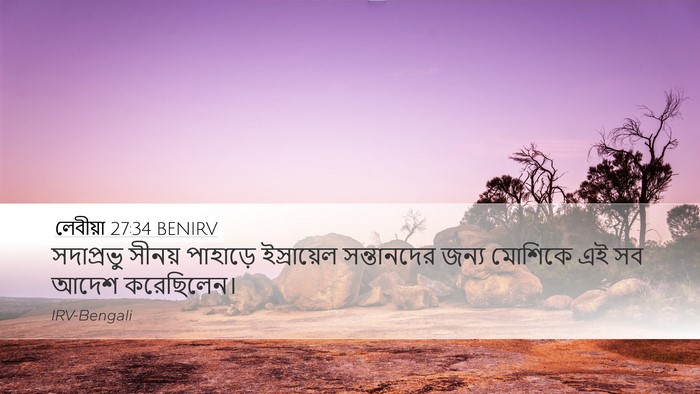 লেবীয়া 27:34 BENIRV Bible Verse Image