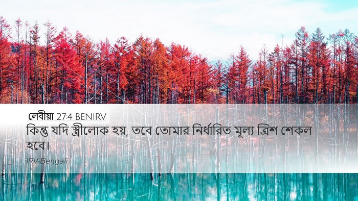 লেবীয়া 27:4 BENIRV Desktop Wallpaper - কিন্তু যদি - Desktop Bible Verse Wallpaper