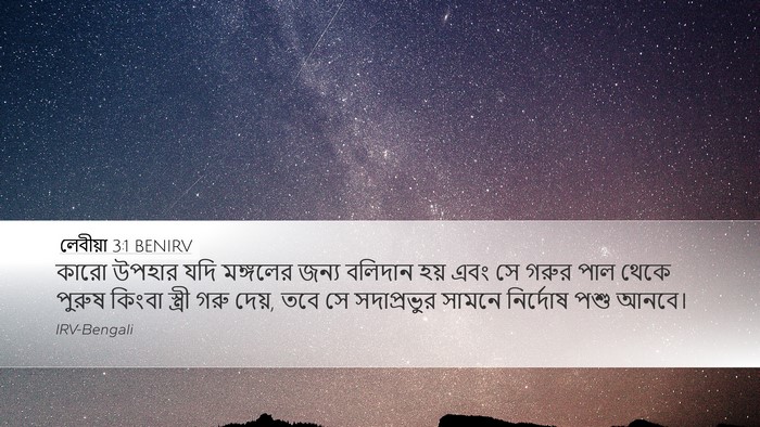 লেবীয়া 3:1 BENIRV Bible Verse Image