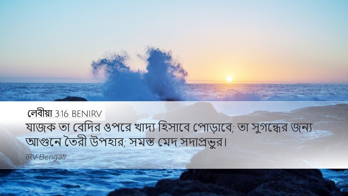 লেবীয়া 3:16 BENIRV Bible Verse Image