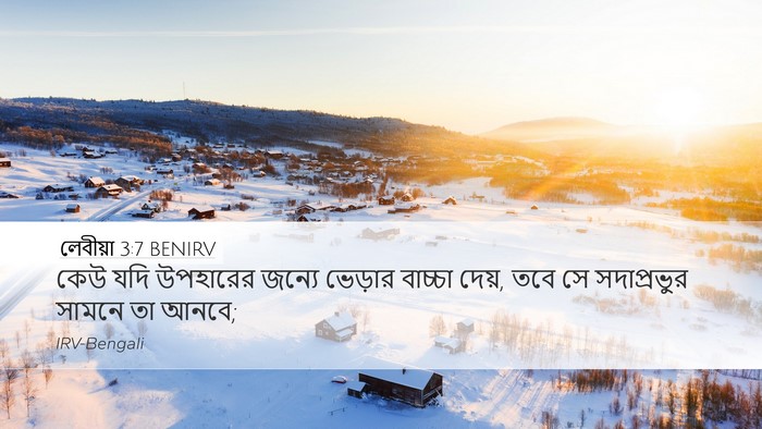 লেবীয়া 3:7 BENIRV Desktop Wallpaper - কেউ যদি উপহারের - Desktop Bible Verse Wallpaper