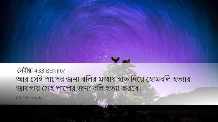লেবীয়া 4:33 BENIRV Desktop Wallpaper - আর সেই পাপের জন্য - Desktop Bible Verse Wallpaper