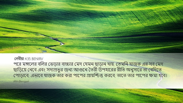 লেবীয়া 4:35 BENIRV Bible Verse Image